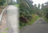 Foto: Jalan Desa Tanjung Buaya, Kecamatan Bolangitang Barat, Kabupaten Bolmut/Jefri)
